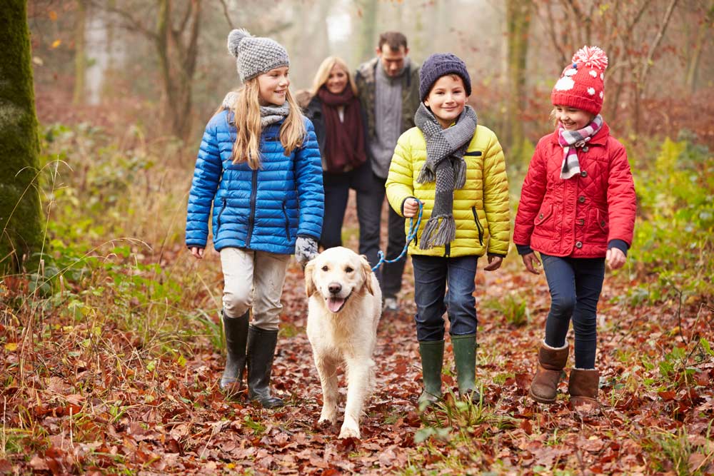 active family on a hike