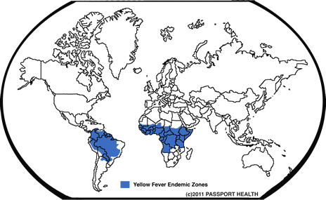 yellowfever